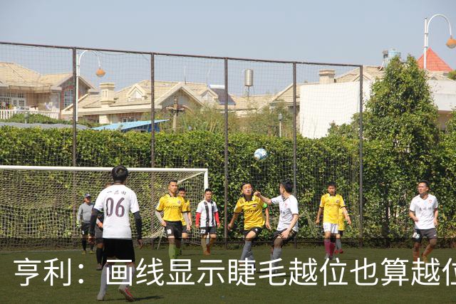 亨利：画线显示睫毛越位也算越位，我不知道线是怎么校准的
