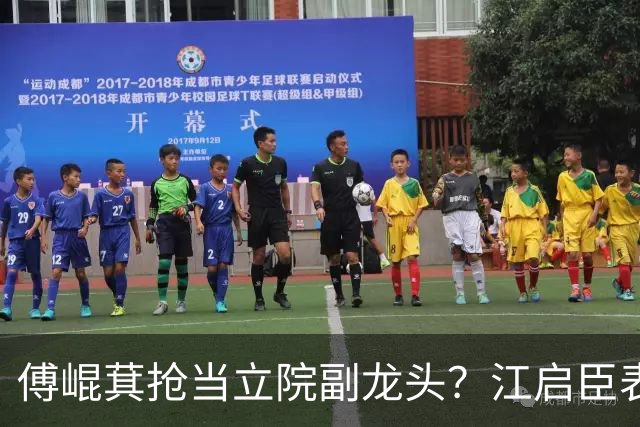 傅崐萁抢当立院副龙头？江启臣表态，赵少康又妄图干涉国民党决策