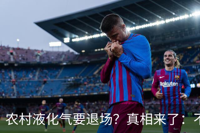 农村液化气要退场？真相来了：不是禁用，而是有大动作！