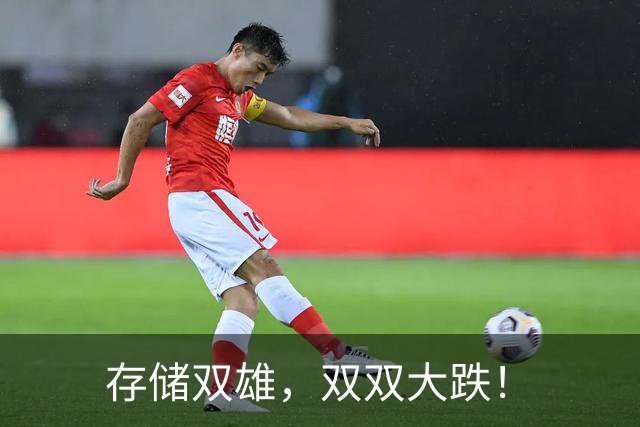 存储双雄，双双大跌！
