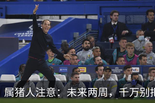 属猪人注意：未来两周，千万别把送上门的好事推走