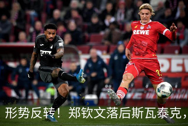 形势反转！郑钦文落后斯瓦泰克，48%比52%，期待上演逆风翻盘！