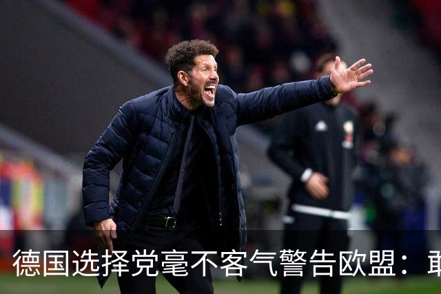 德国选择党毫不客气警告欧盟：敢拒绝我们的提议，后果将十分严重