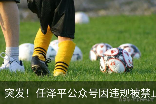 突发！任泽平公众号因违规被禁止关注