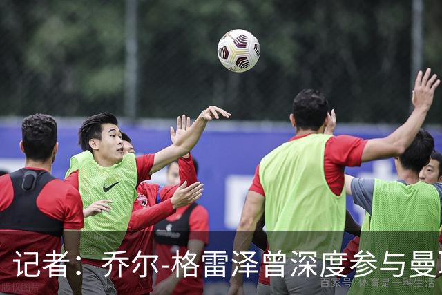 记者：乔尔-格雷泽曾深度参与曼联管理，连买油漆都要审批