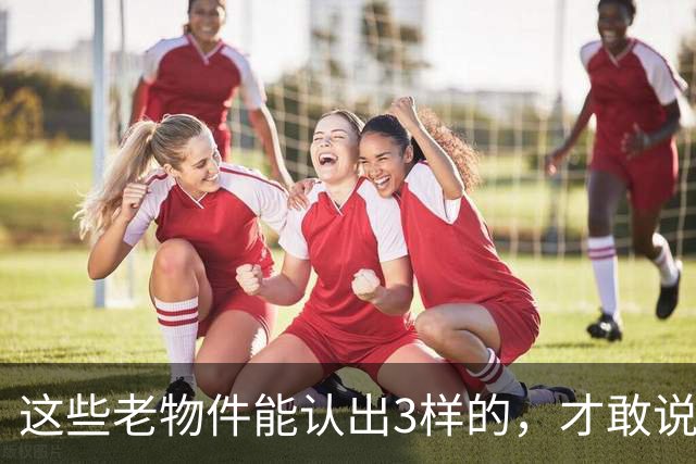 这些老物件能认出3样的，才敢说自己是农村长大的！你认得几个？